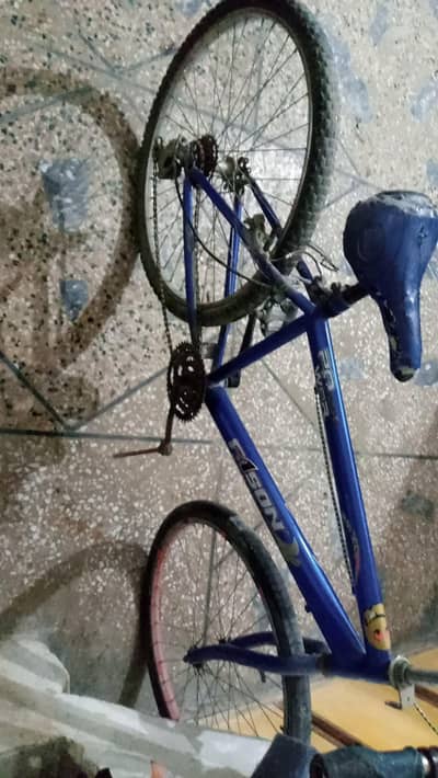 Blue Fason "Power" Series Mountain Bike