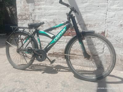 Used Cycle Condition 8/10