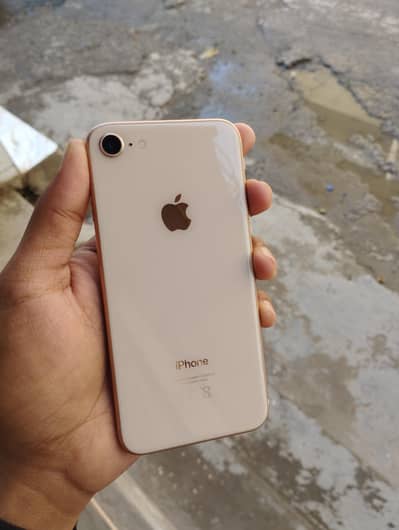 I phone 8 (64gb) official pta approved 10/9 condition see in pics