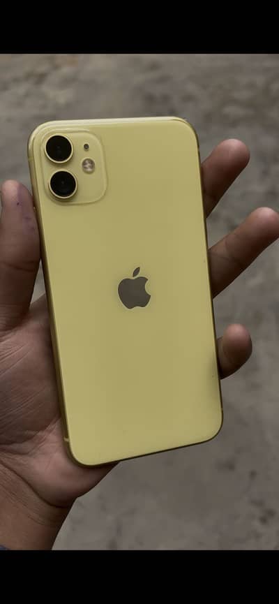 iPhone 11 Waterpack 10/10