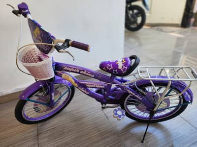 19 Inch Girls Bicycle  (almost NEW)