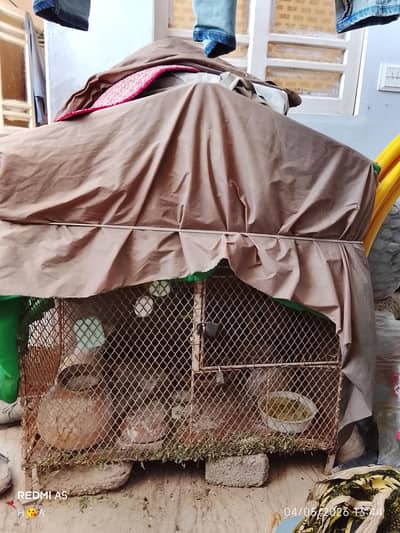 cage fisher sale *0*3*7*0*0*5*7*7*0*8*1