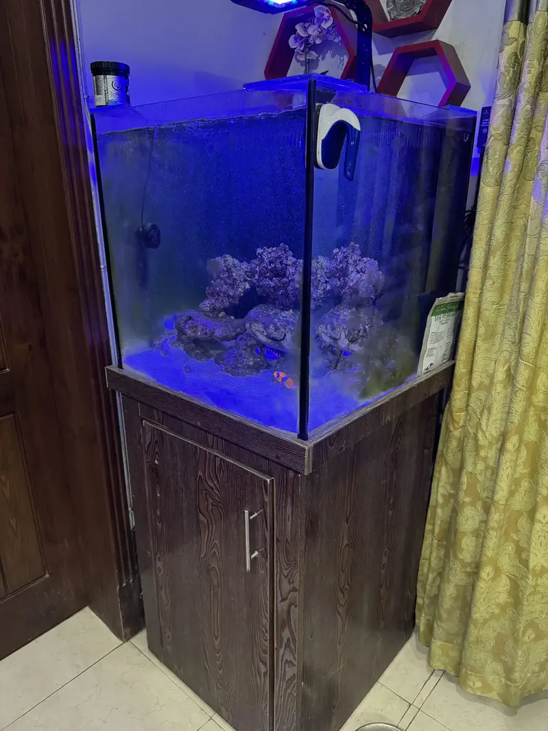 Marine Aquarium for sale with fishes — photo 4