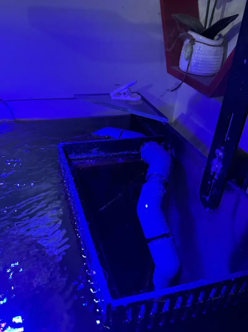 Marine Aquarium for sale with fishes — photo 6