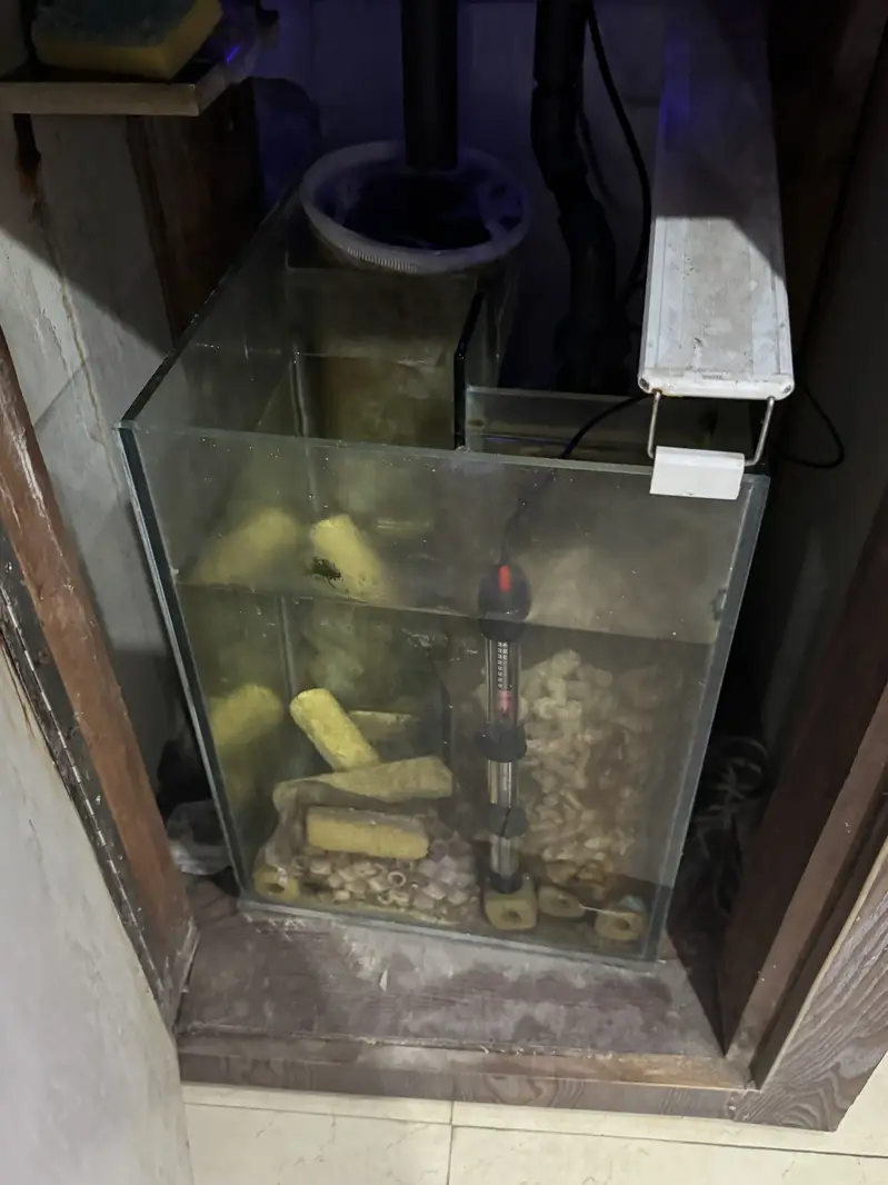 Marine Aquarium for sale with fishes — photo 7