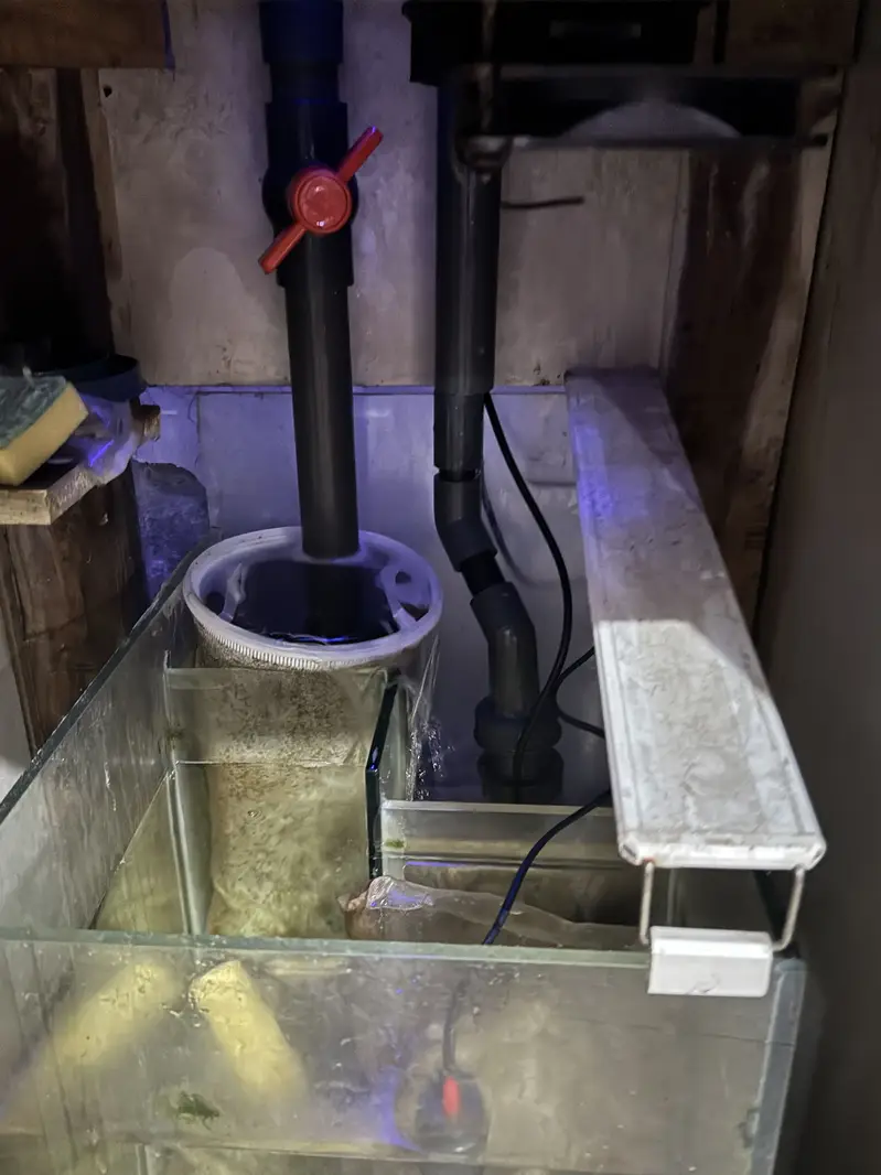 Marine Aquarium for sale with fishes — photo 8