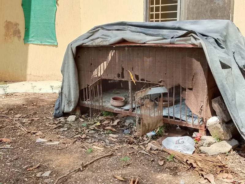iron cage for pets — photo 2