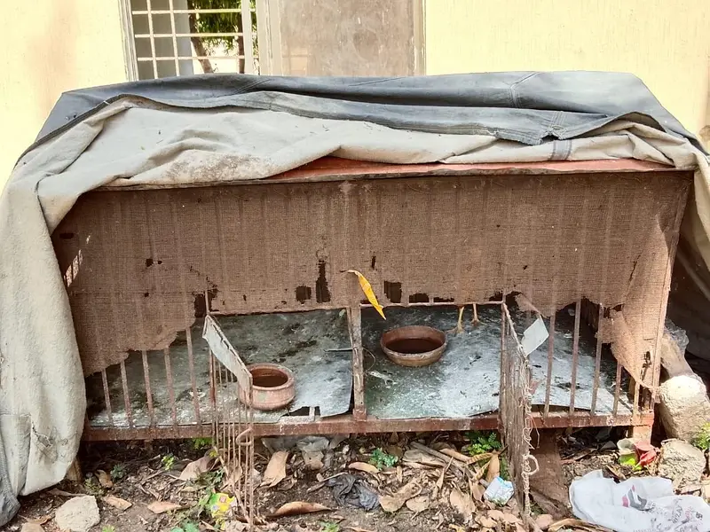 iron cage for pets — photo 3