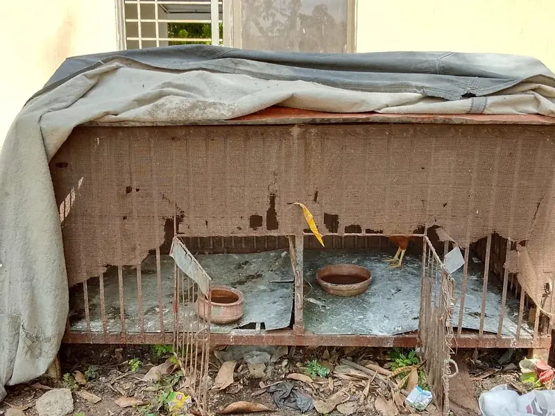 iron cage for pets — photo 4