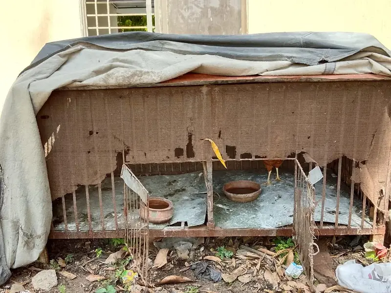 iron cage for pets — photo 5