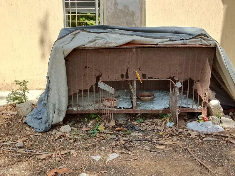 iron cage for pets — photo 7
