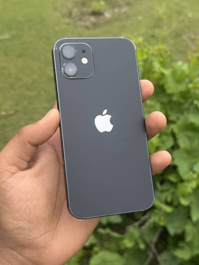 Iphone 12 non pta waterpack Lush condition exchange possible