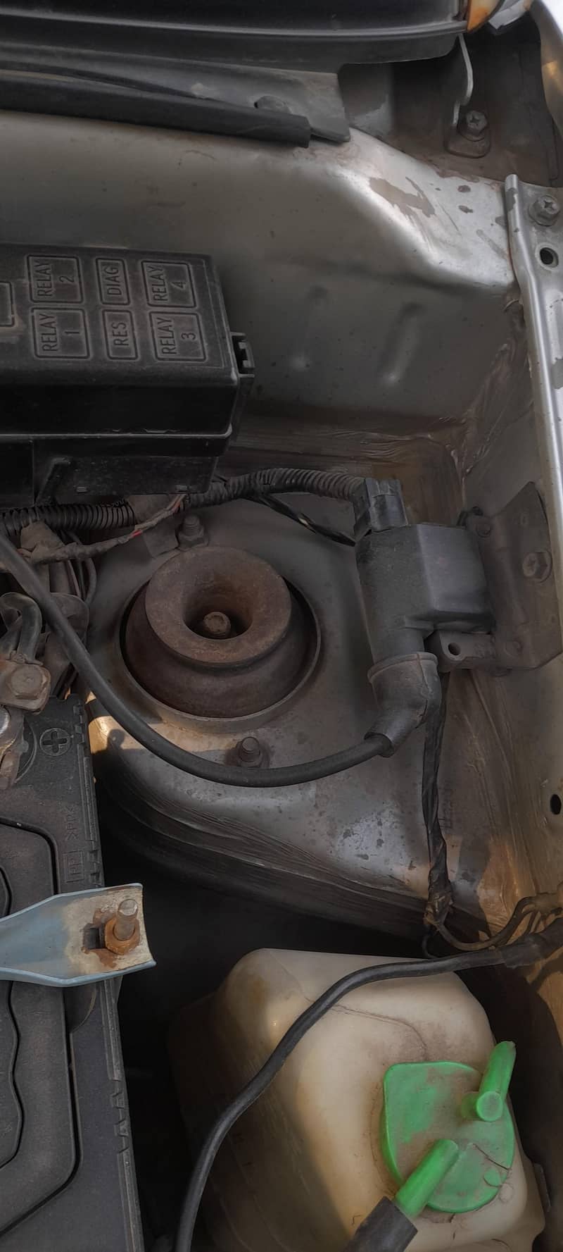 ارجینٹ فار سیل 5