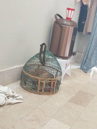 teeter bhut acha hen c. t pr boltha he nar hen