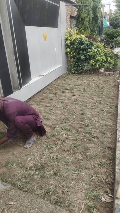 Me mali ho kam jnta ho sara ager ksi ke ghr kam wgera jo Garden ka