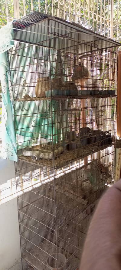 12 box cage for birds
