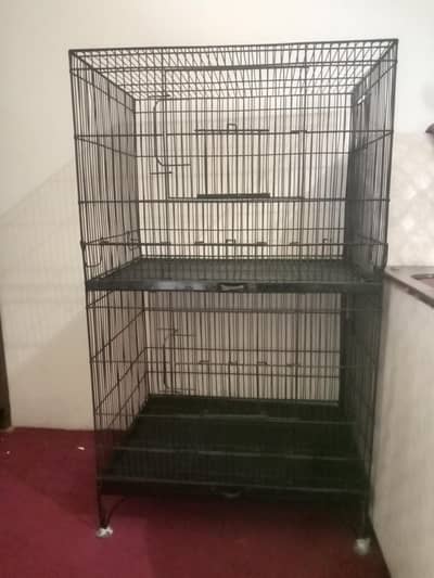 New pinjra/Cage