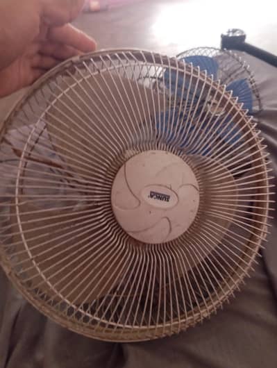 sogo and sunca fans 12 wood 03101020766