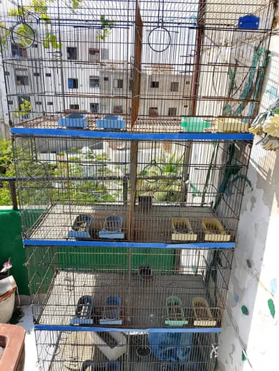 8 Portions Cage (18x18x18)