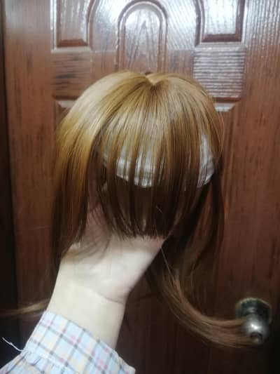 Front Hair wig with bangs