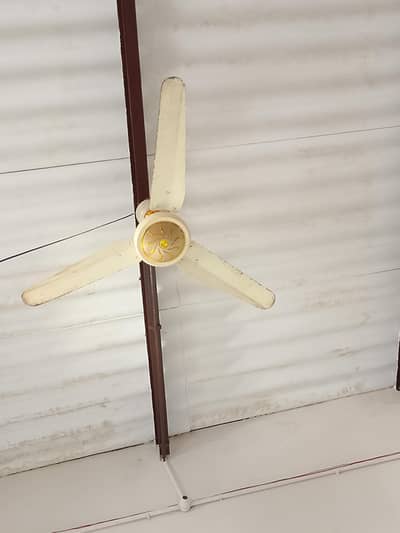 ac DC selleng fan all ok hi 10/10 condition men hi