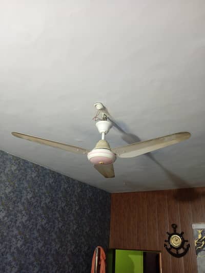 Rado ceiling Fan