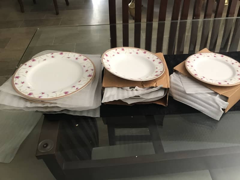 Dining plates 1