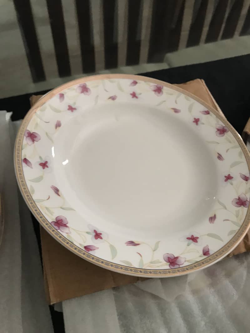 Dining plates 2