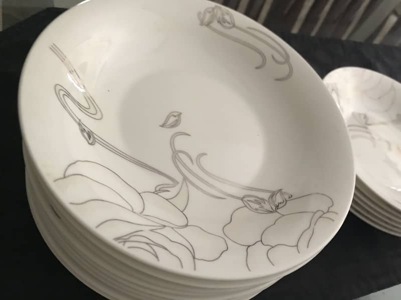Dining plates 6