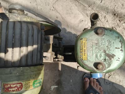 Donkey Pump Water Motor Golden pump