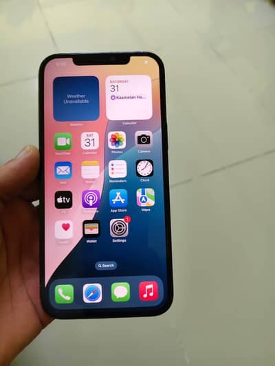 iPhone 12 Pro Max (Factory Unlock)