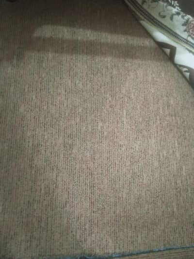 Selling Carpet