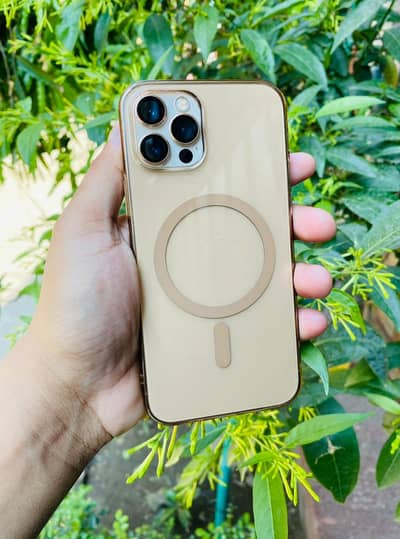 Iphone 12 Pro Gold Color 256gb Fu 10/10 Dual Pta