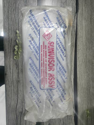 Old Cultus Sun shade, triangle trim, side mirror