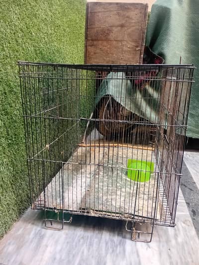 2 Bird Cages for Sale with Nest Pot – Good Condition