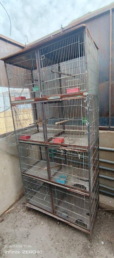 carrots cage
