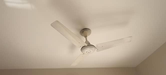 Pak Fans Ceiling Fan for Sale