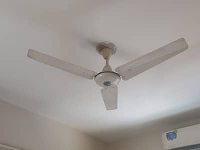 Pak Fans Ceiling Fan for Sale