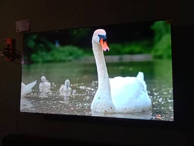 Hisense Brand New 10/10