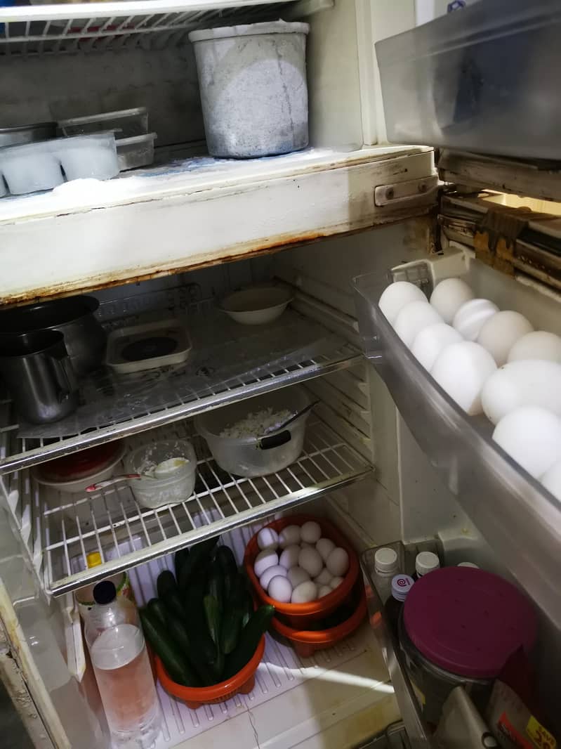 medium size refregrator 2