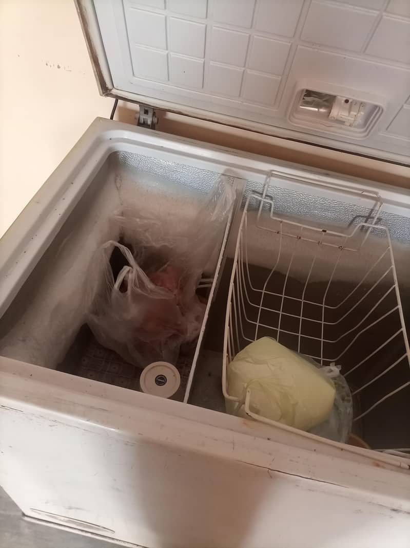 waves deep freezer normal condition 3