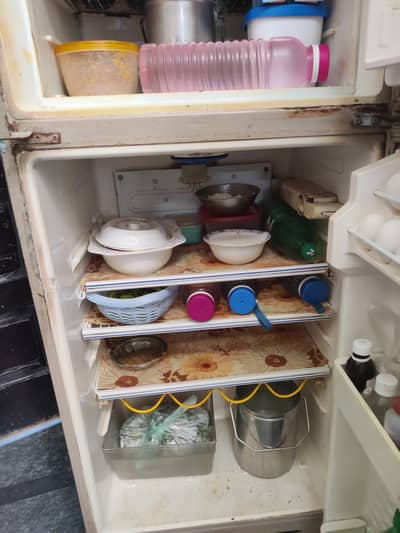 Dawlance midium size