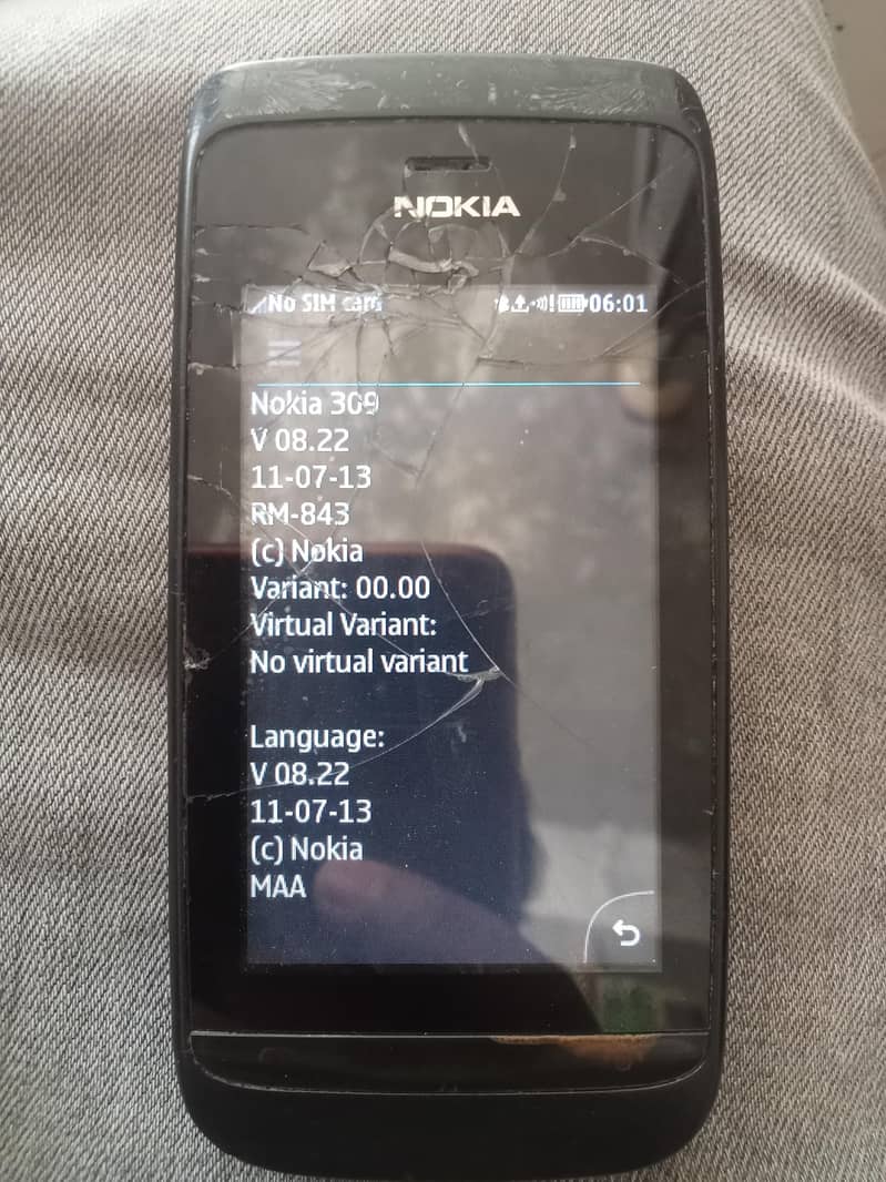Nokia 309 2