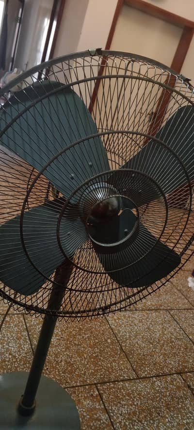 pedestal fan for sale