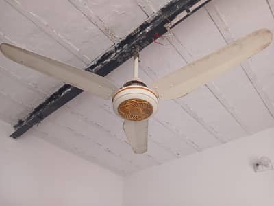 Diamond AC/DC 56 inches