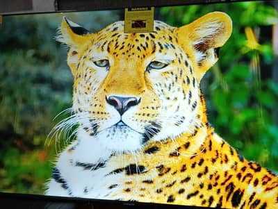 65. INCH.  Q. LED TV NEW SAMSUNG LATEST MODEL.  O337-4872664
