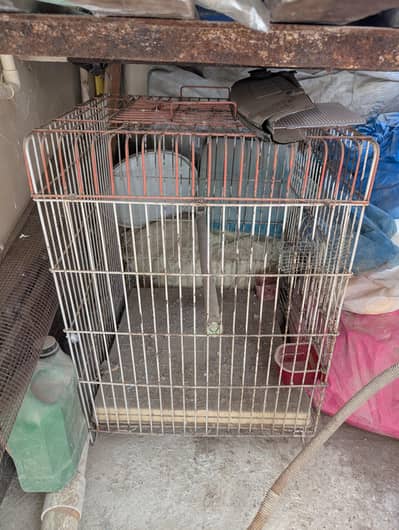 heavy cage hai 2.5x2.5