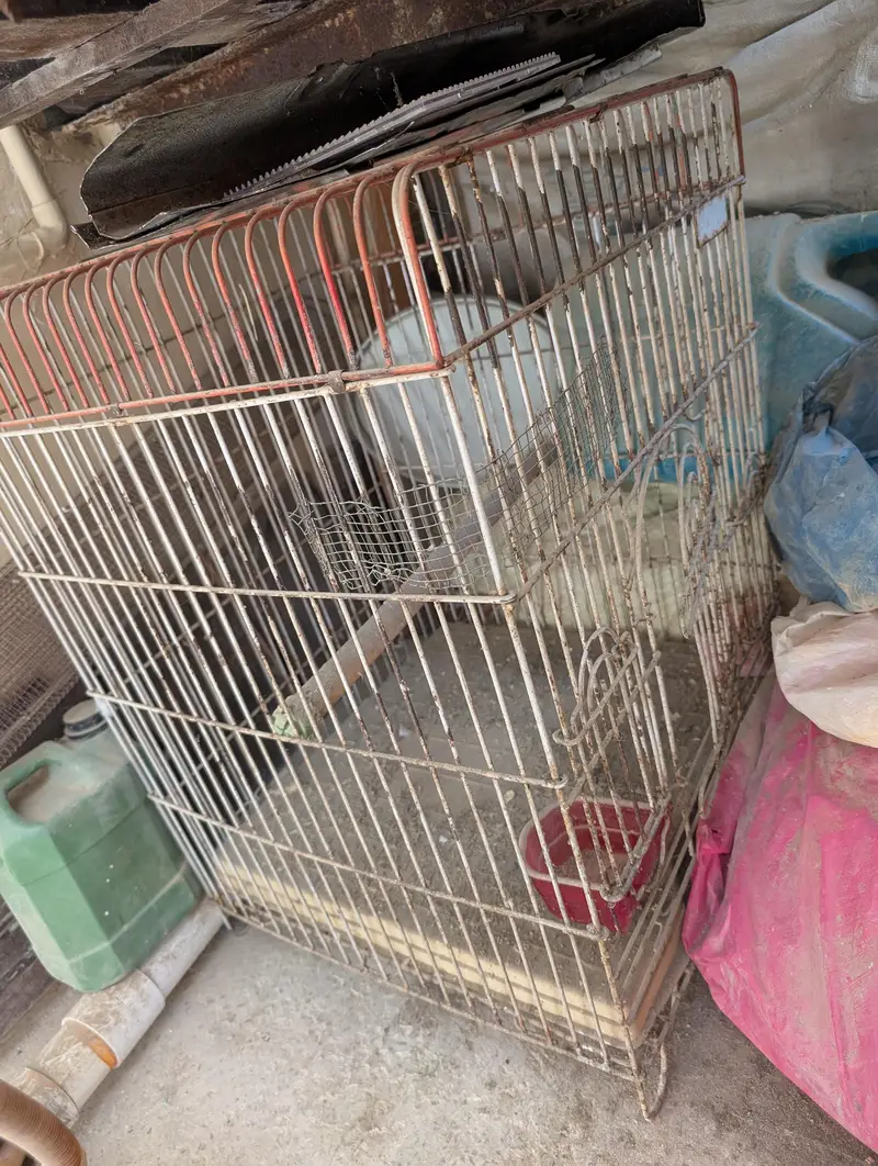 heavy cage for gry parrots hai 2.5x2.5 — photo 2