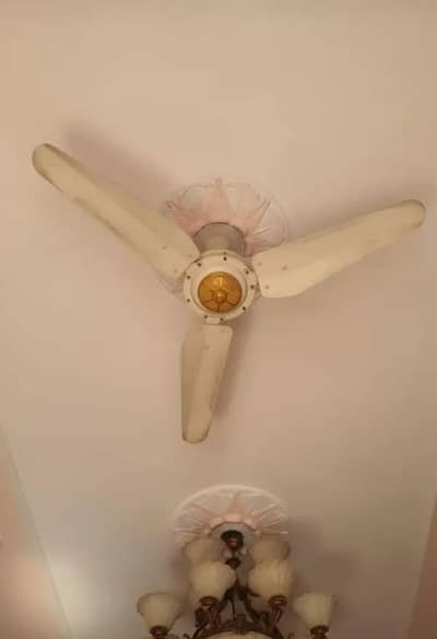 Wahid fans for sell ( In good condition ) .