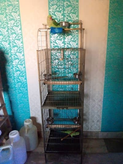 Raw, African gray, and Cockatoo double story new cage